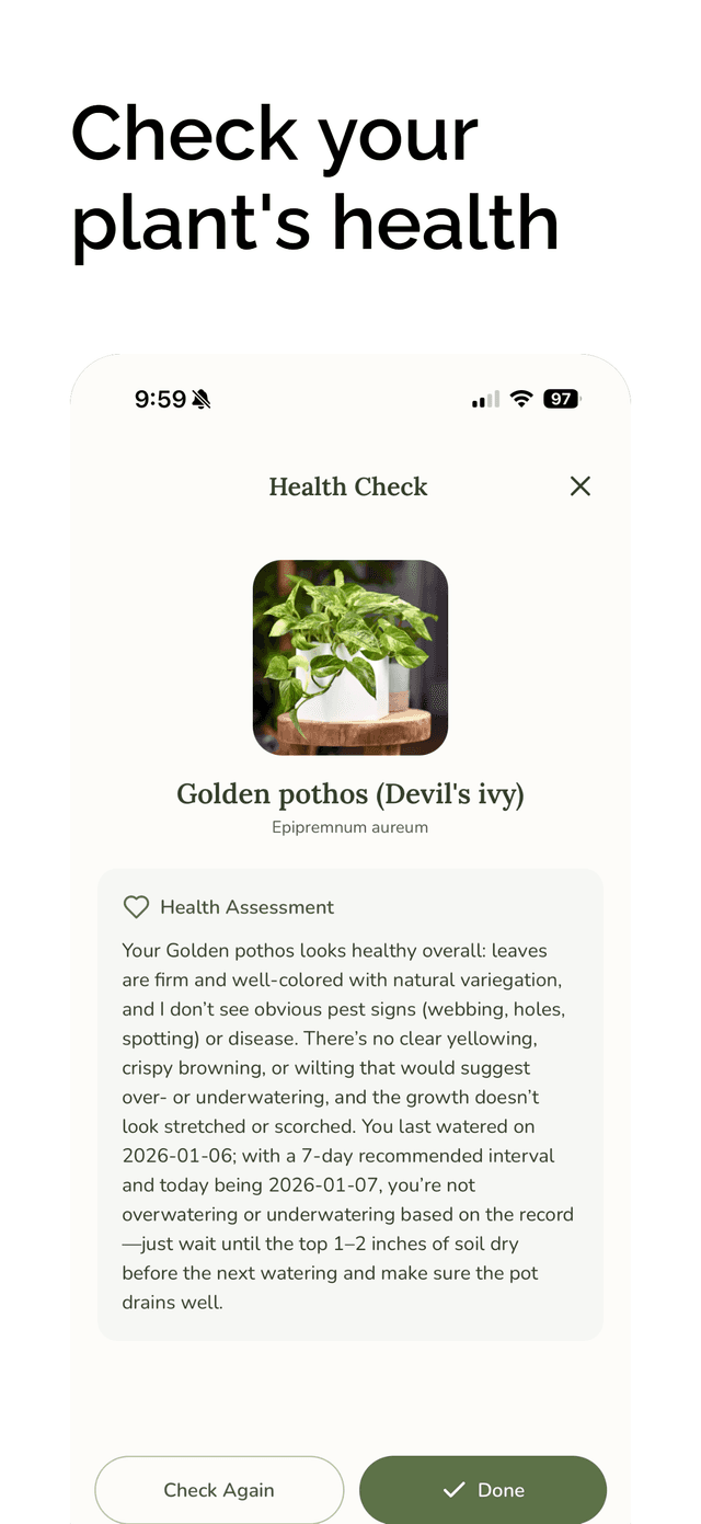 Check your plant's health